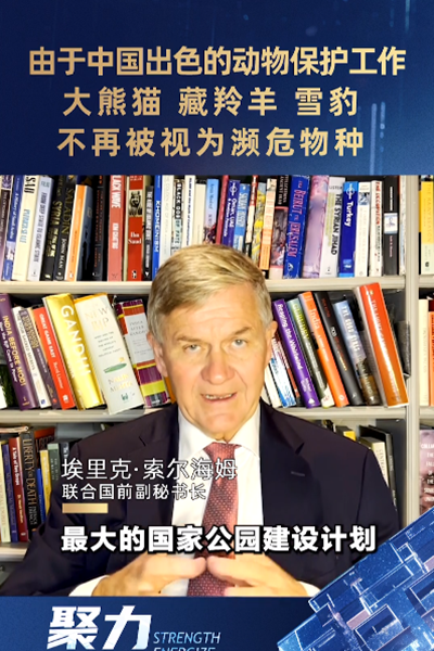 埃里克·索爾海姆：由于中國出色的動物保護工作，大熊貓、藏羚羊、雪豹不再被視為瀕危物種